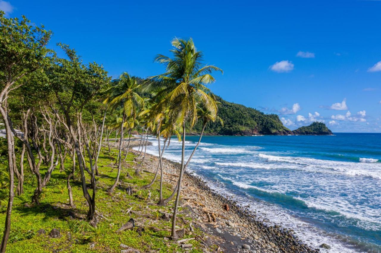 Rosalie Bay Eco Resort & Spa Exteriér fotografie