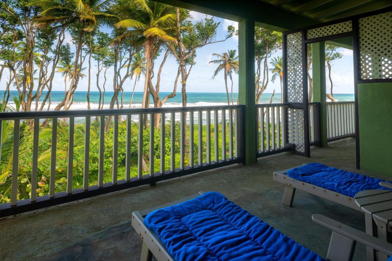 Rosalie Bay Eco Resort & Spa Exteriér fotografie