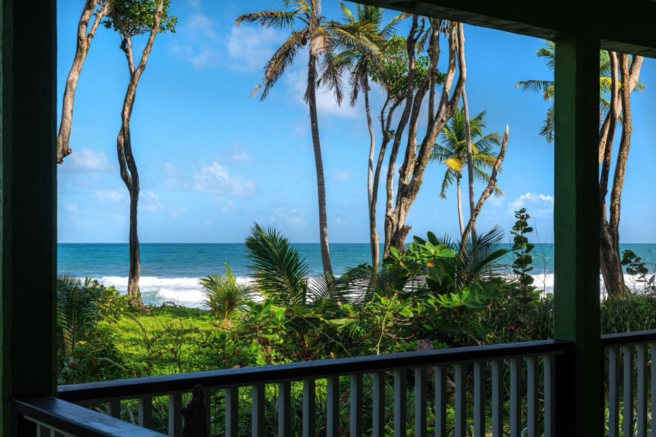 Rosalie Bay Eco Resort & Spa Exteriér fotografie